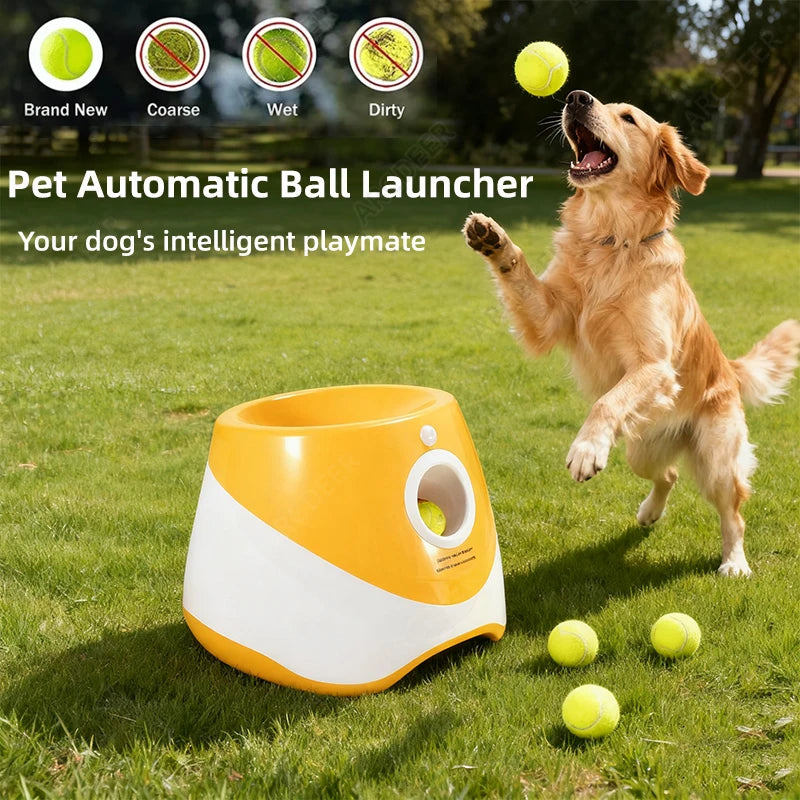 Automatic Ball Launcher for Dogs