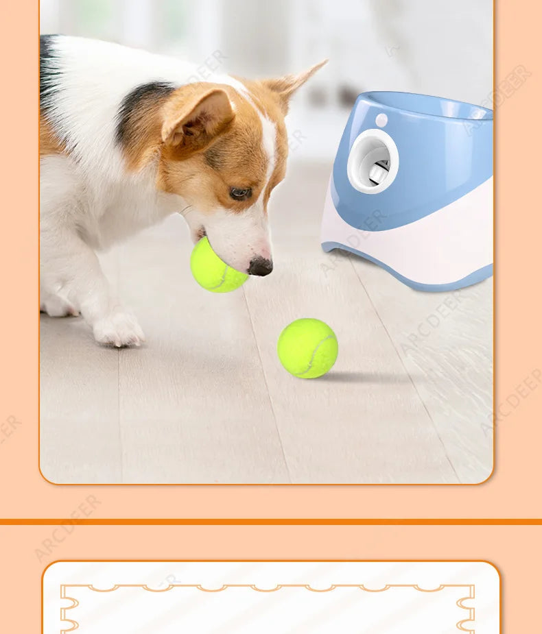 Automatic Ball Launcher for Dogs