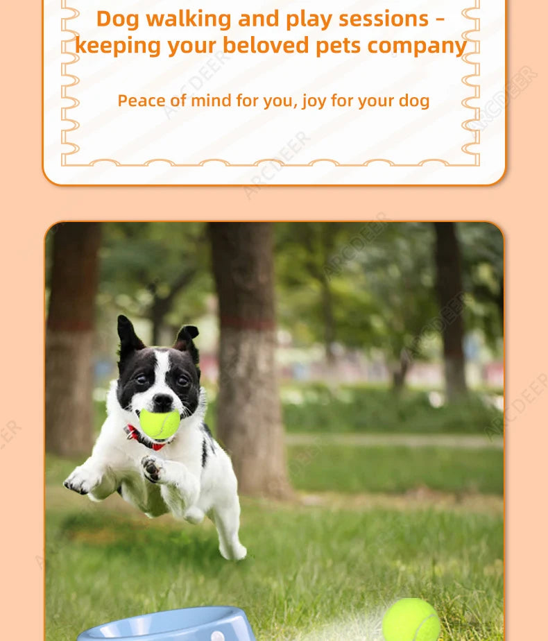 Automatic Ball Launcher for Dogs