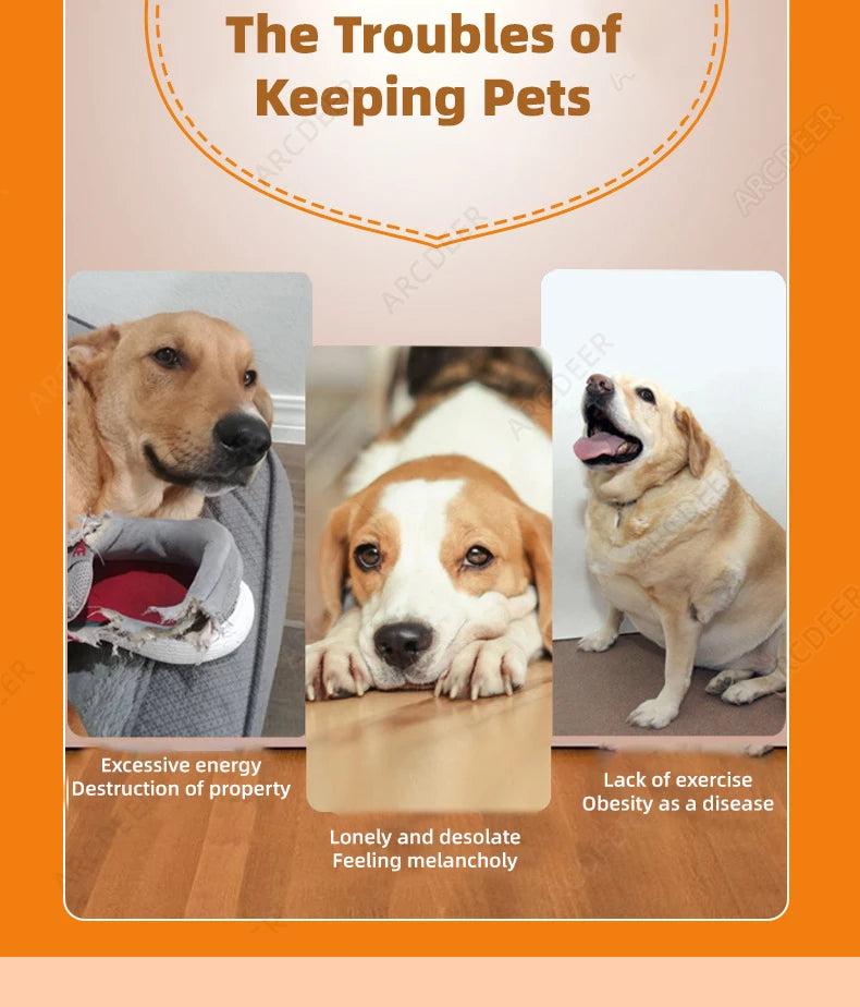 Automatic Ball Launcher for Dogs