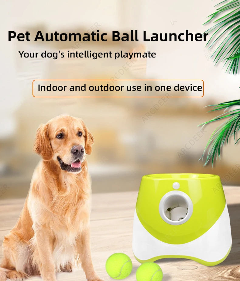 Automatic Ball Launcher for Dogs